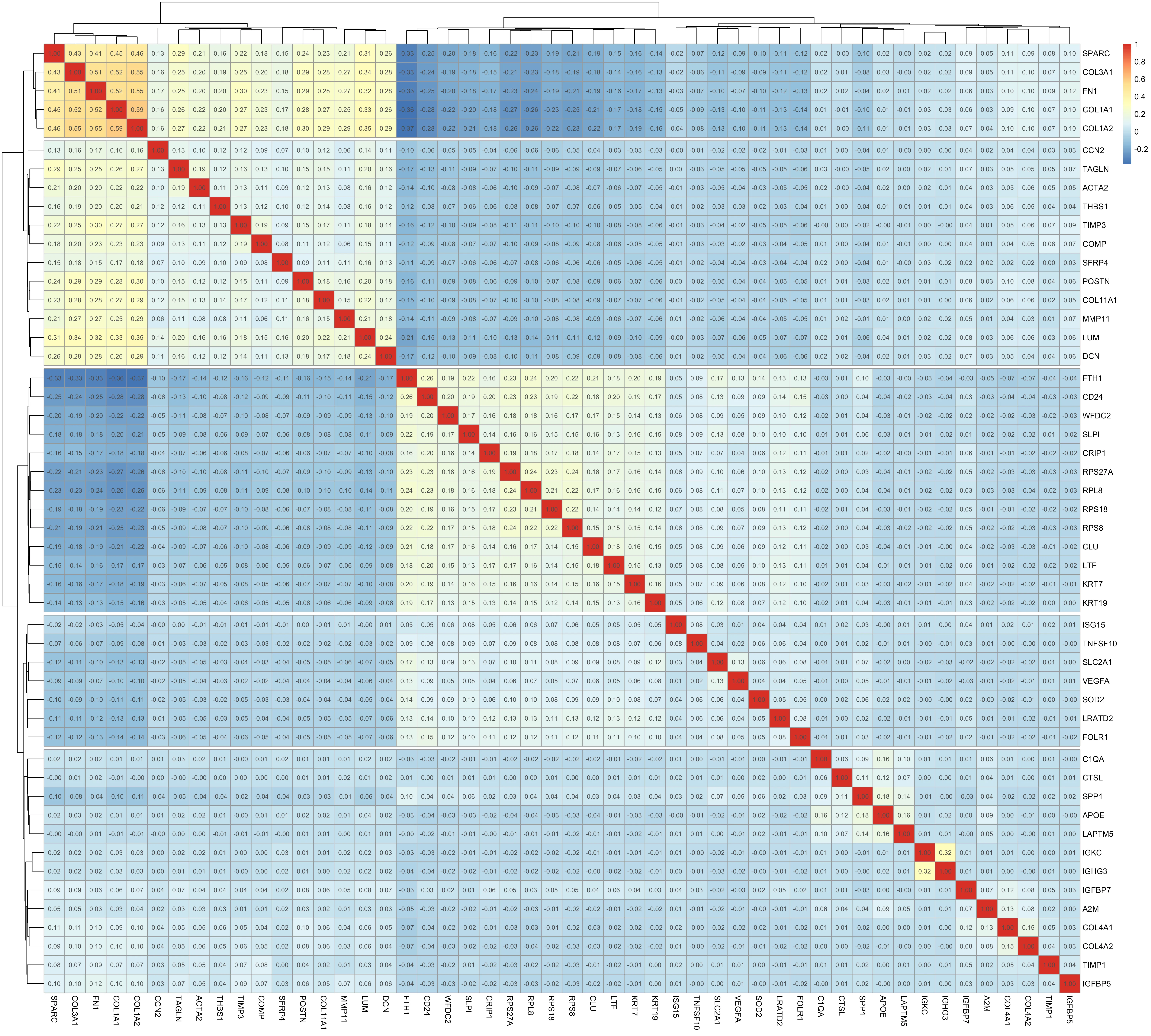 Figure 5: Gene–gene correlation heatmap. Spearman correlations between highly variable genes across ~80,000 sampled spots. Strong positive correlations (red) reveal co-expression modules, such as collagens (COL1A1, COL3A1, COL1A2) and actin-associated genes (ACTA2, TAGLN), while epithelial and immune marker genes cluster separately.