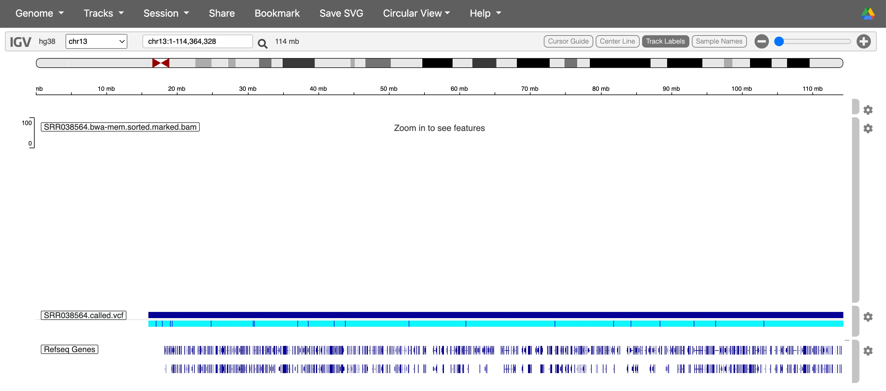 Inspecting chromosome 13 in IGV