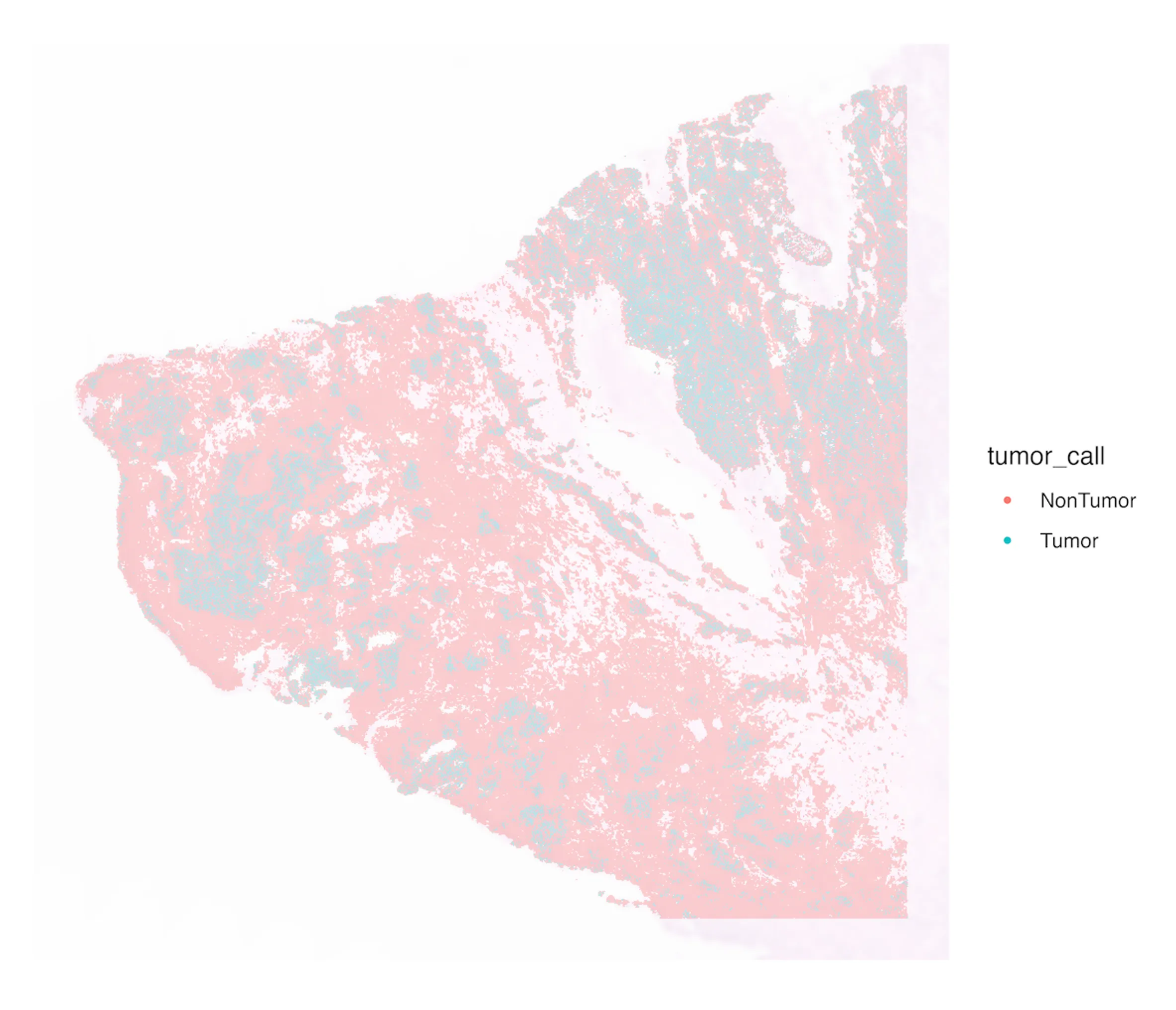 Figure 3B: Spatial distribution of tumor versus non-tumor spots on the histological section. The same classification projected back onto tissue coordinates shows that tumor spots (cyan) cluster in contiguous regions overlapping the histological tumor core, whereas non-tumor spots (red) occupy surrounding stromal and immune-rich compartments.